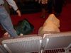 100_0225.JPG