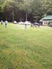Filename=photo_28729.JPG
Filesize=293KiB
Dimensions=470x626
Date added=Sep 16, 2013 photo_28729.JPG